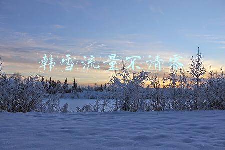 韩雪流量不清零