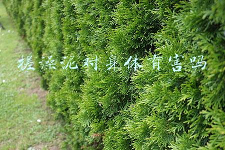 搓澡泥对身体有害吗