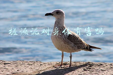 搓澡泥对身体有害吗