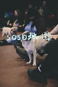 soso地图