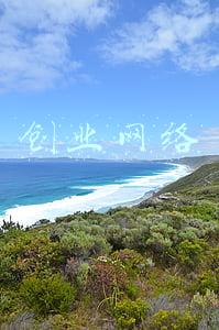 创业网络