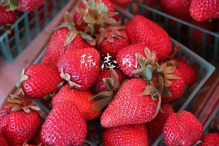 陈志刚