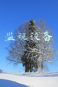 监视设备