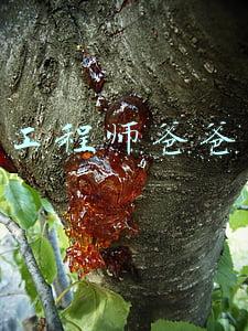 工程师爸爸