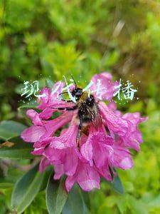 现代传播 现代传播