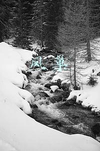 凤巢