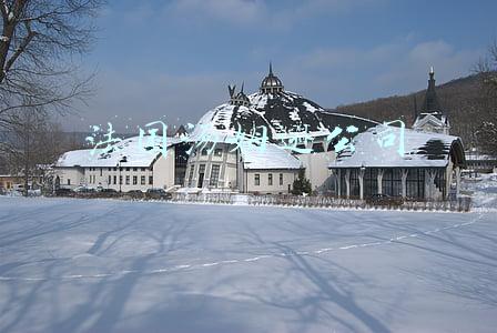 法国汤姆逊公司