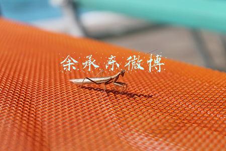 余承东微博