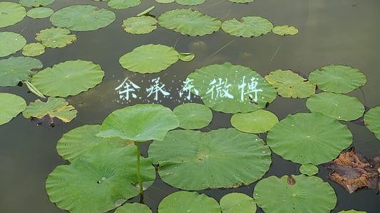 余承东微博