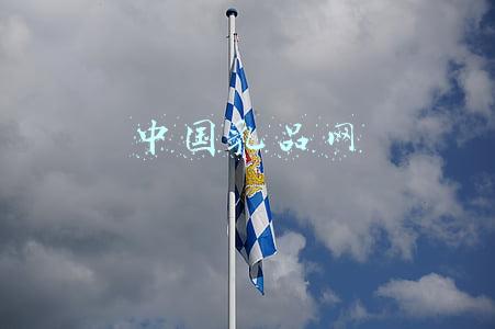 中国乳品网