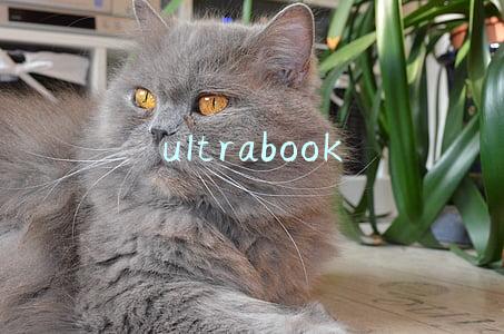 ultrabook