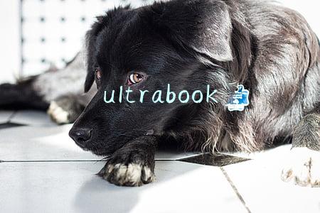 ultrabook