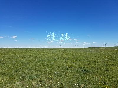 搜酷