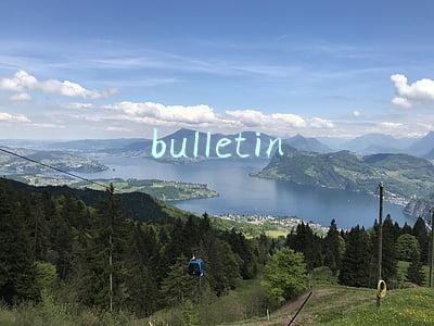 bulletin