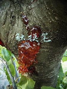 触摸笔