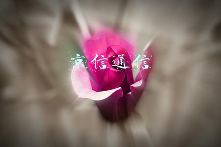 京信通信