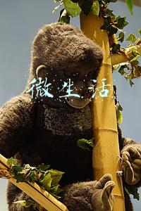 微生活