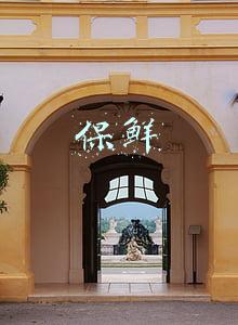 保鲜 保鲜