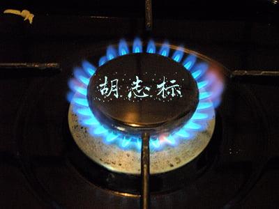 胡志标 胡志标