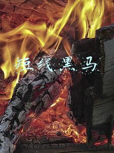 短线黑马共振副图指标源码(免费分享一个通达信短线波段指标源码 多指标共振结合均线使用)