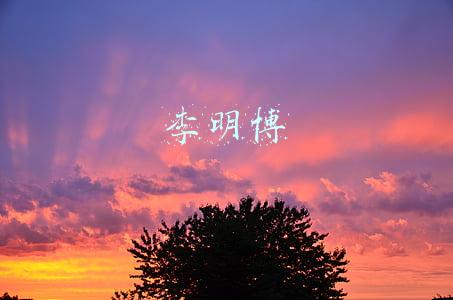 李明博