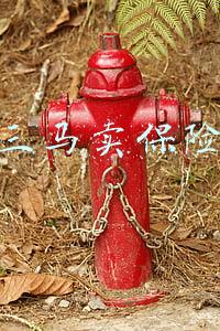 三马卖保险