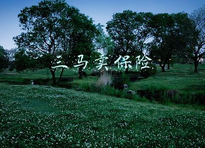 三马卖保险