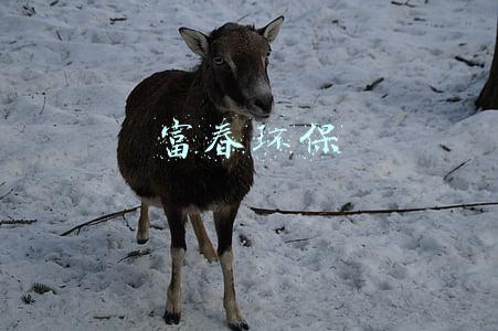 富春环保