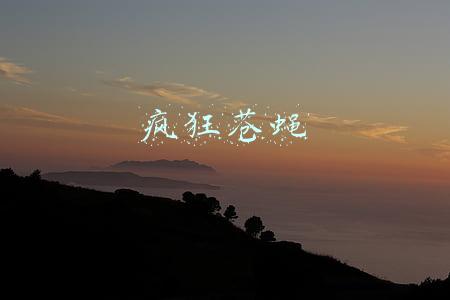 疯狂苍蝇下载(美国教堂枪击案是“大陆人对台湾人”的“种族仇杀”？别逗了)