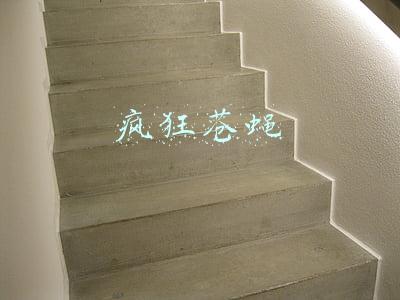 疯狂苍蝇