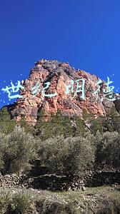 世纪明德