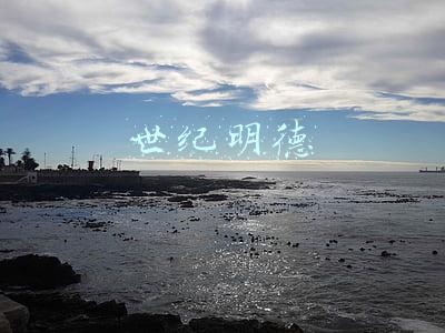 世纪明德