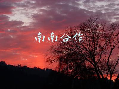 南南合作