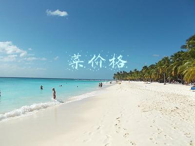 菜价格