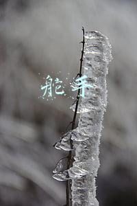 舵手