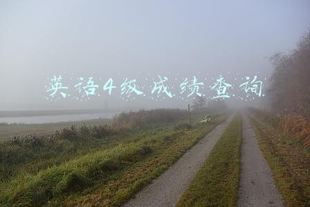英语四级成绩查询往届(大学英语四六级成绩多少分算合格？如果四、六级没过，可以考研吗？英语四六级分值总分介绍)