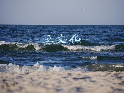 亚文化 亚文化