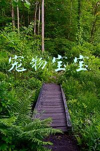 宠物宝宝