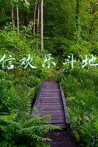 微信欢乐斗地主