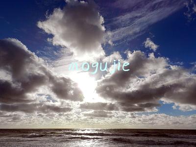mogujie