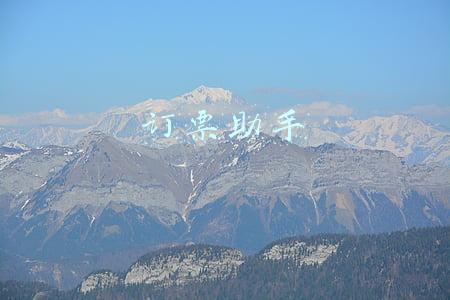 订票助手