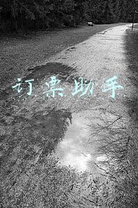 订票助手