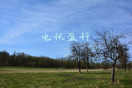 电讯盈科客服压力大吗(老司机来跟各位迷惘的求职新人聊聊经历)
