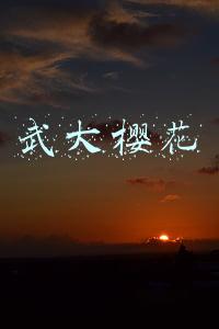 武大樱花