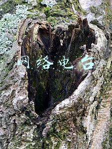 网络电台
