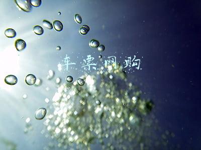 车票网购