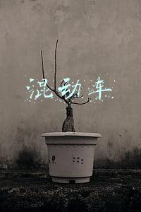 混动车