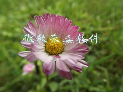 微软杀毒软件