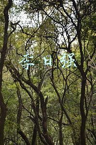 李日强