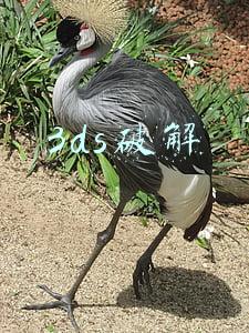3ds破解